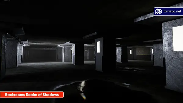 Backrooms-Realm-of-Shadows-Screenshot4.webp