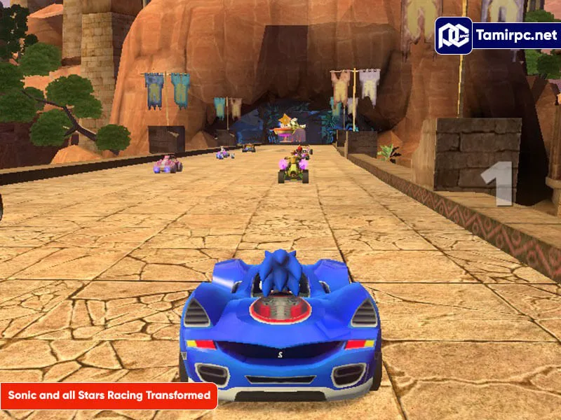 sonic-and-all-stars-racing-transformed-800-600.webp