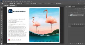 Adobe-Photoshop-CC-2021.jpg