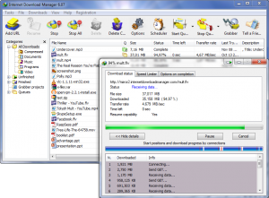 Internet_Download_Manager-tamirpc-net.png