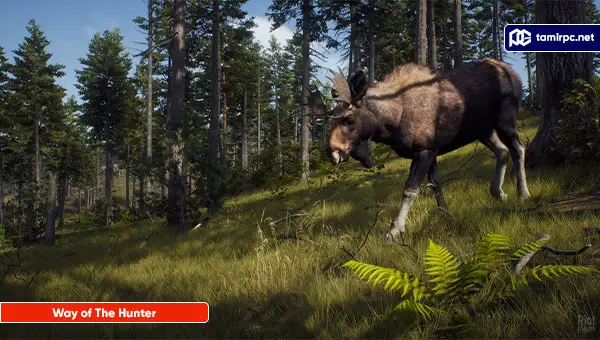 تصاویری از محیط بازی Way of The Hunter