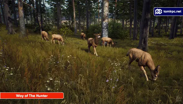 تصاویری از محیط بازی Way of The Hunter