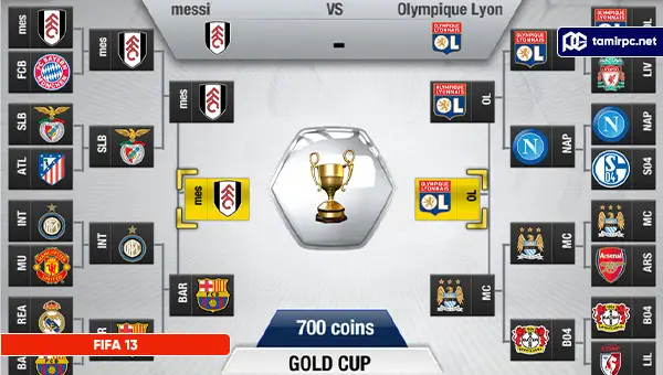 تصاویری از محیط بازی FIFA 13
