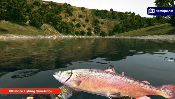 تصاویری از محیط بازی Ultimate Fishing Simulator